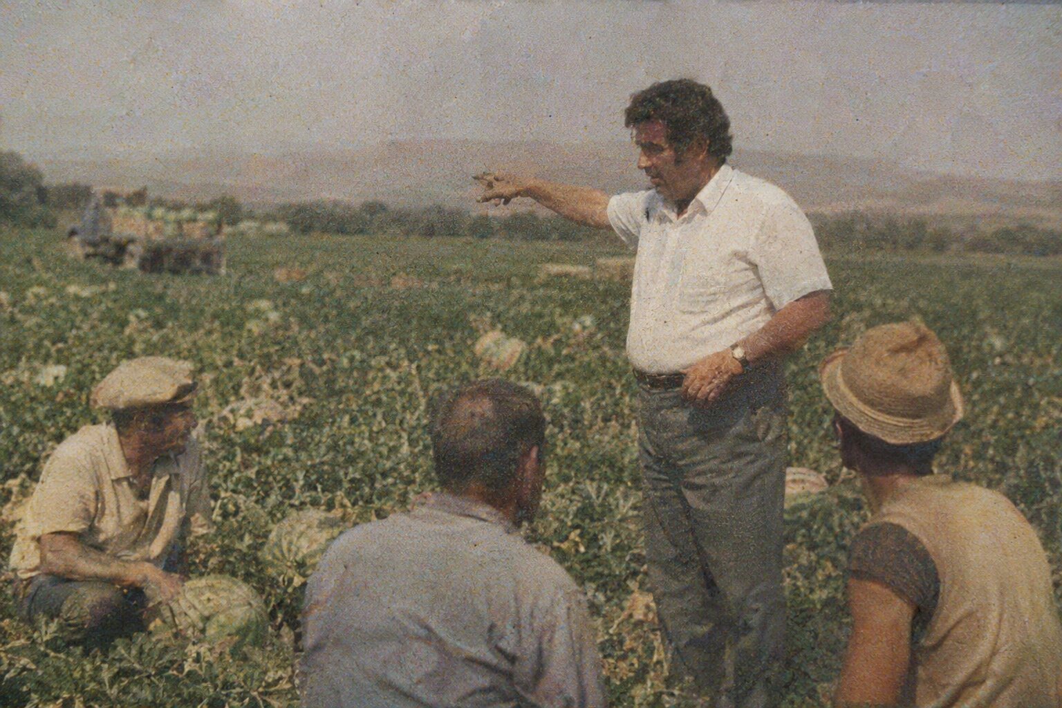 Fotografie de arhivă într-un peisaj agricol